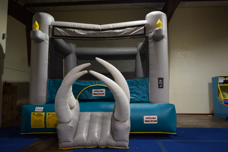 MOONBOUNCE | Outdoor Inflatable Rentals